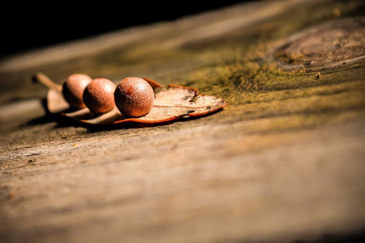 متابعة خاصة: تطورات وملامح ضمن أخبار